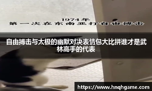 自由搏击与太极的幽默对决表情包大比拼谁才是武林高手的代表